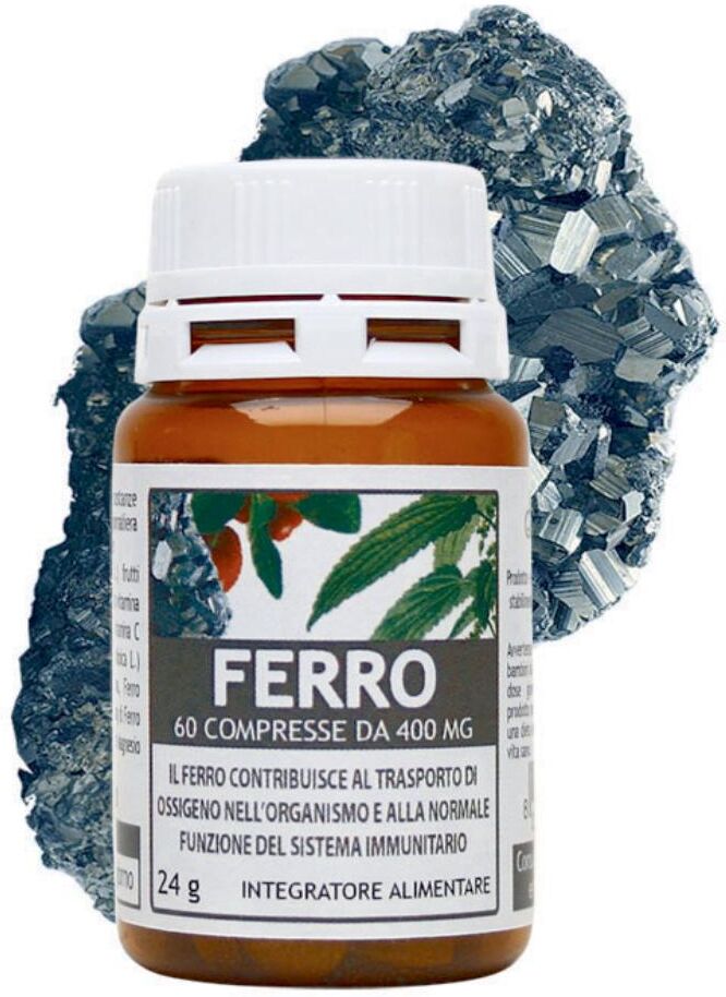 SALUS IN ERBIS Srl FERRO 60CPR