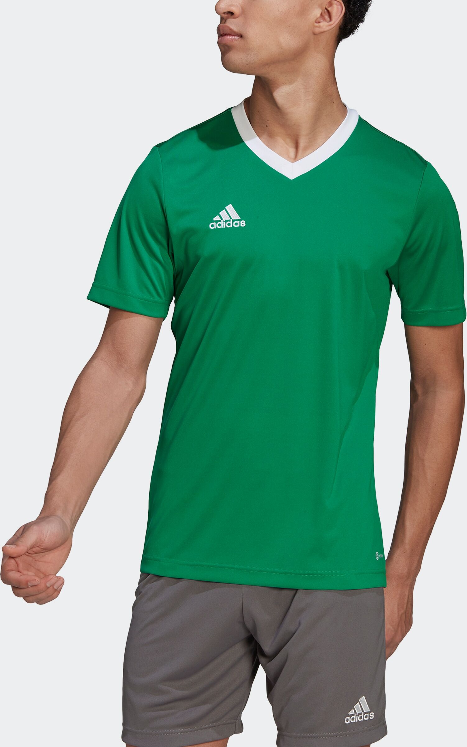 Fussballtrikot ADIDAS PERFORMANCE "ENT22 JSY", Herren, Gr. M, grün (team grün, weiß), Obermaterial: 100% Polyester, bestickt, V-Ausschnitt, Trikots Fussballtrikot team grün, weiß M
