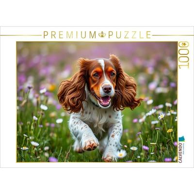 CALVENDO Puzzle Junger American Cocker Spaniel | 1000 Teile Lege-Größe 64x48cm Foto-Puzzle für glückliche Stunden