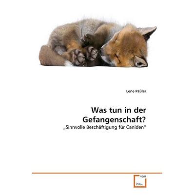 Päßler, L: Was tun in der Gefangenschaft?, Taschenbuch von Lene Pässler, VDM, 978-3-639-33282-7