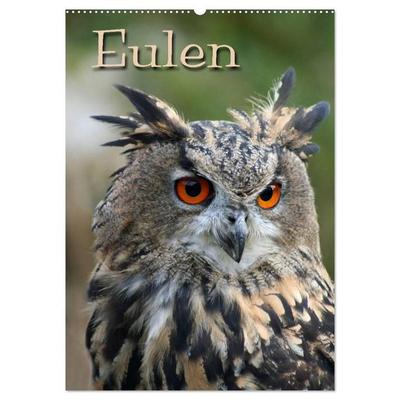 Eulen (Wandkalender 2027 DIN A2 hoch), CALVENDO Monatskalender