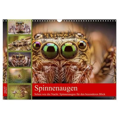 Spinnenaugen (Wandkalender 2027 DIN A3 quer), CALVENDO Monatskalender