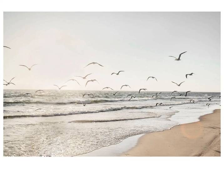 Digitaldruck auf Glas Möwen Über Dem Meer image LAND / Grösse: 120 x 80 cm