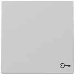 Gira Wippe Symb. Tür 3287015
