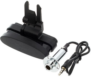 Taylor ES Go Pickup GS Mini