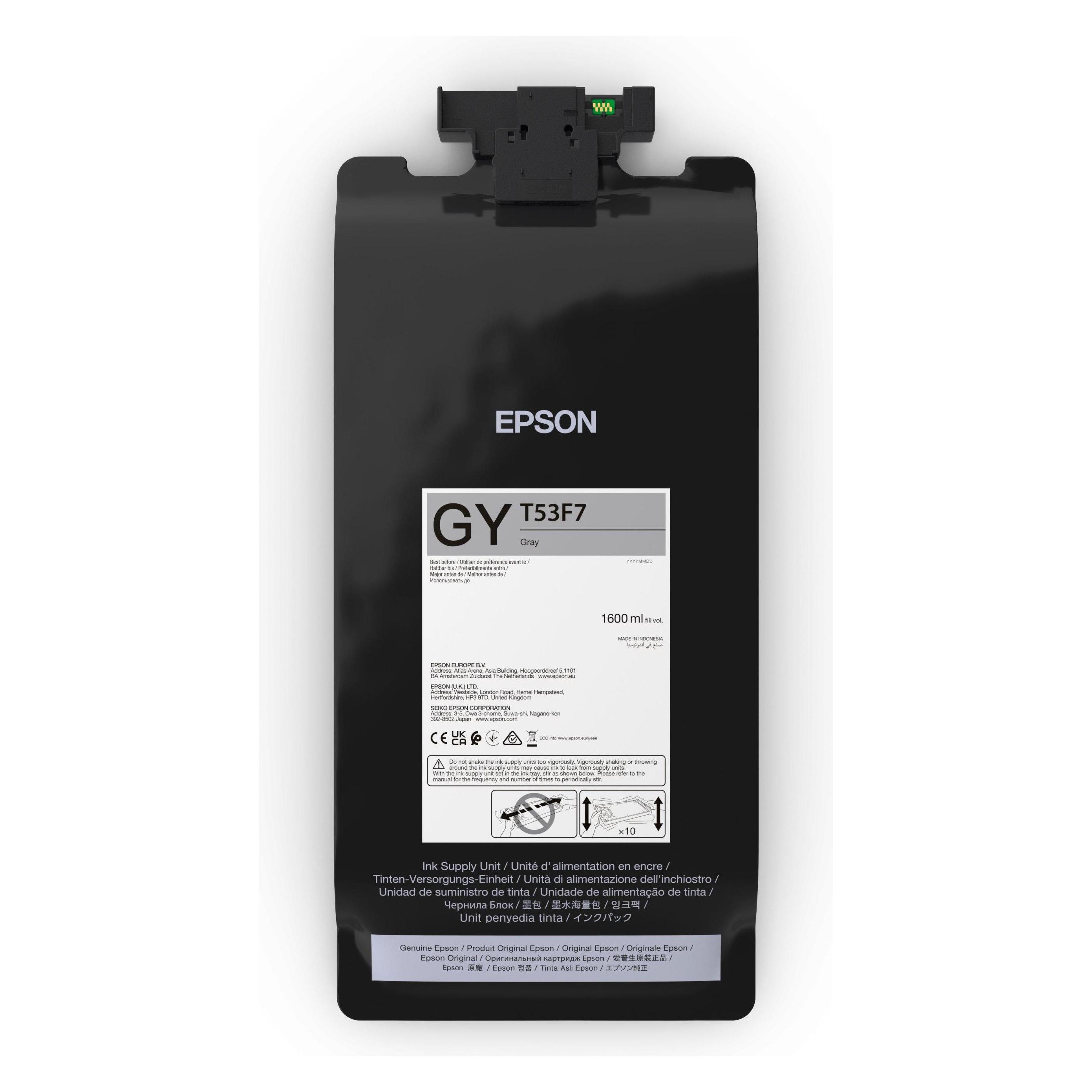 Epson UltraChrome Pro6 (GY) (C13T53F700)