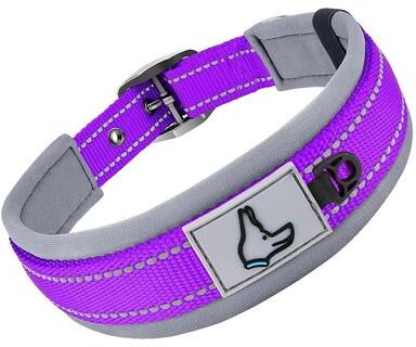 Uplift Essentials Endurance Pro Padded Reflective Dog Collar purple xl
