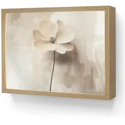 WANDLEUCHTE MIT AKKU Blume - Beige - Farbe - Schatten LED 40x30 cm Wandlampe