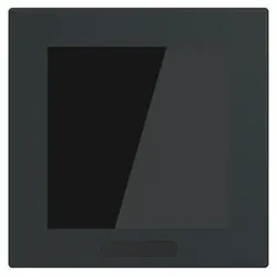 Busch-Jaeger Display 2,4" Format 63 - SD/U12.63.11-825