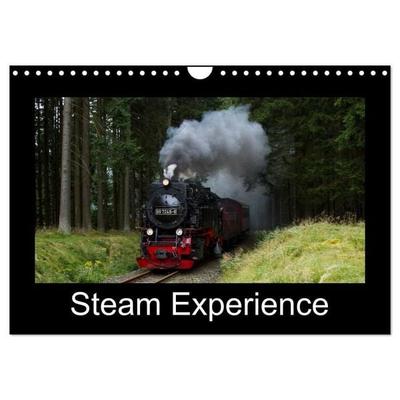 Steam Experience (Wall Calendar 2027 DIN A4 landscape), CALVENDO 12 Month Wall Calendar