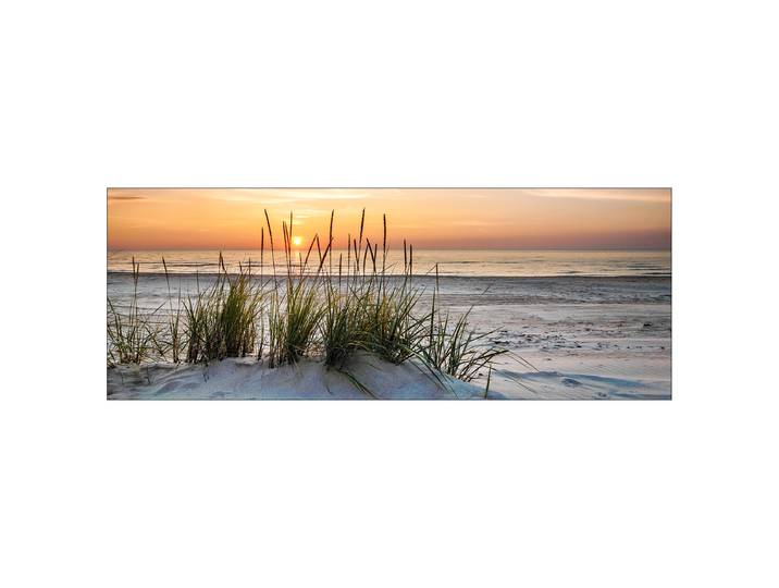 Tableau verre Lonely Dune type A Matériau : Verre Motif : Soleil & couchers de soleil, Arbres, plantes & nature, Eau, plages & mers Motif :