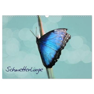Schmetterlinge (Wandkalender 2027 DIN A3 quer), CALVENDO Monatskalender