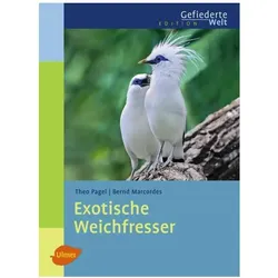 Exotische Weichfresser, Ratgeber von Bernd Marcordes, Theo Pagel