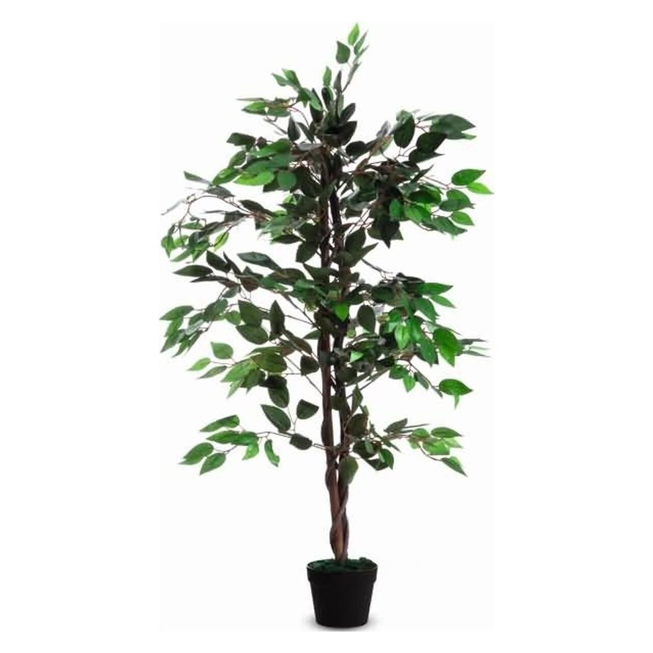 Paperflow Feigenbaum (120 cm) (PAFIC120)