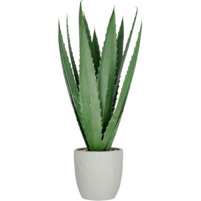 Kunstpflanze CREATIV GREEN "Agave", grün, H:80cm, Kunststoff, Kunstpflanzen, Kunstpflanze, mit 13 Agavenblättern