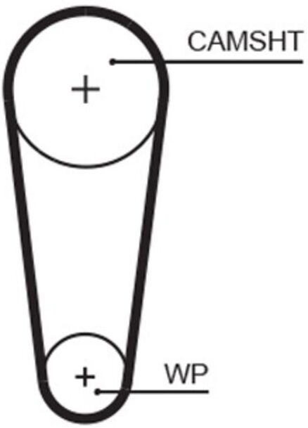 Gates Cinghia di distribuzione 5727XS