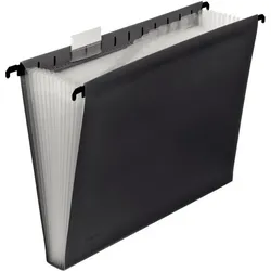 FolderSys Hänge-Fächertasche 12er dunkelgrau 240 x 318 x 30 mm (HxBxT)