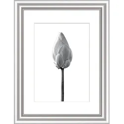 Bilderrahmen ELEGANCE silber (BH 46x36 cm) - silber - BH 46x36 cm