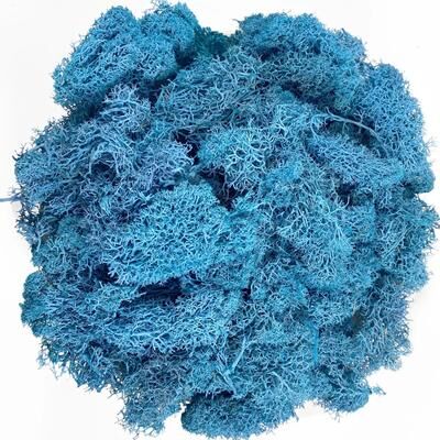 Inspire Select Artificial Reindeer Moss Decor Faux Green Moss For Crafts, Potted Plants & Wall Art sky Blue 2.1 Oz