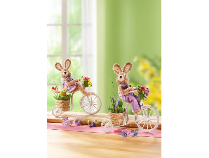 Hase auf Fahrrad, Bunt, Hase mit lilafarbener Latzhose