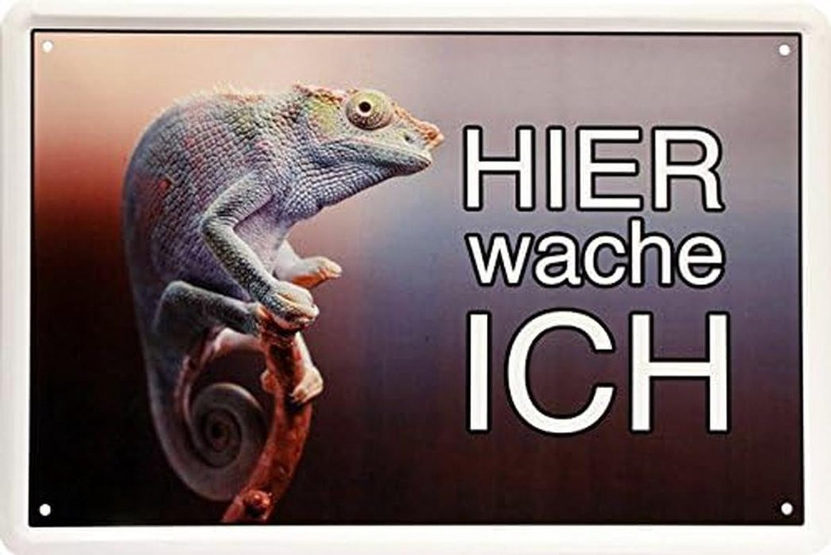 Decoratieve Metalen Plaat met Afgeronde Hoeken - 20 x 30 cm