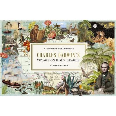 The Voyage of HMS Beagle, von Maria Rivans, Skittledog, 978-1-83776-053-4