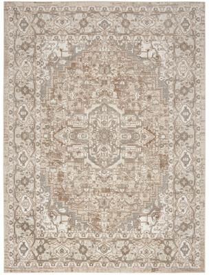 Nourison Concerto Classic Persian Medallion Area Rug.