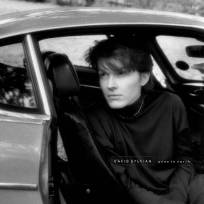 Gone To Earth - David Sylvian, Vinyl