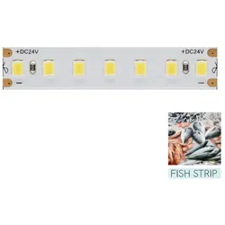 Beneito & Faure Beneito Faure -  LED-Streifen zur Beleuchtung der Fischfuttertheke - 5 m Spule 14,4 W/M 95 LM/W IP20 11.600 K