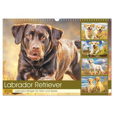 Labrador Retriever. Labrador-Magie für Herz und Seele (Wandkalender 2026 DIN A3 quer), CALVENDO Monatskalender