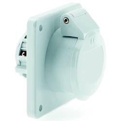 Bals Elektrotechnik 4359 4359 CEE Anbaudose 16.0 A 2polig 50 V 1 St.