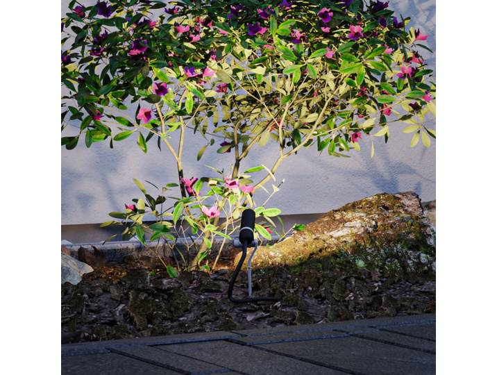 Plug & Shine 3 LED Lampe de Jardin Plantini IP65 Anthracite - Paulmann - Moderne - Métal - À ampoule unique