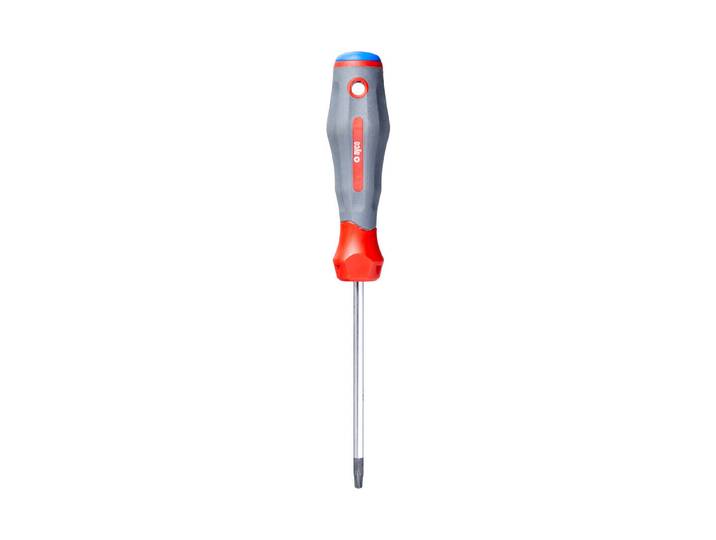 Ayce Schraubenzieher Torx TX 15