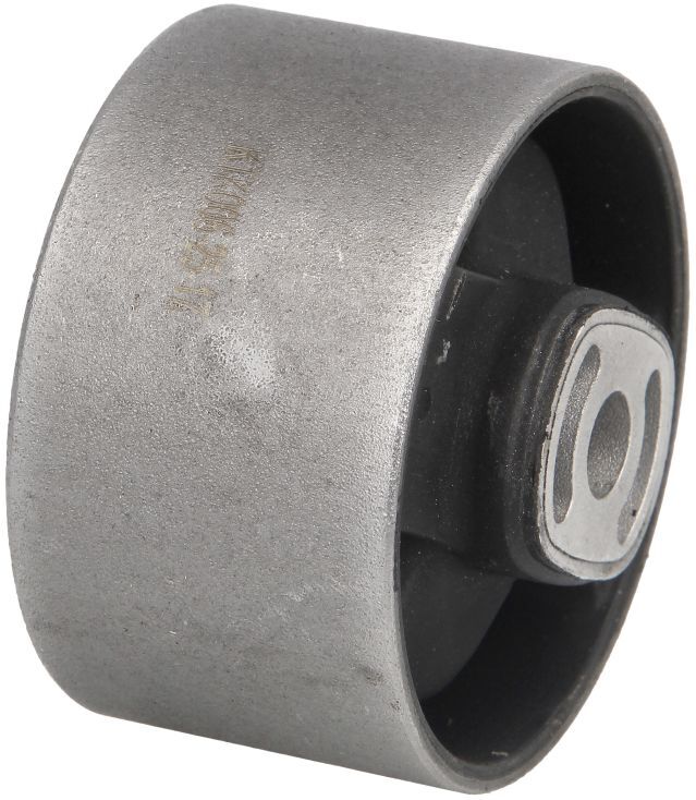 Motorträger DELPHI TEM064