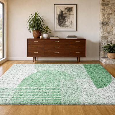 Addison Rugs Premium Washable Super Soft Contemporary Seymour Dream Shag Rug