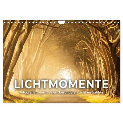 Lichtmomente - Fotografien, die in einem besonderen Licht erstrahlen. (Wandkalender 2027 DIN A4 quer), CALVENDO Monatskalender
