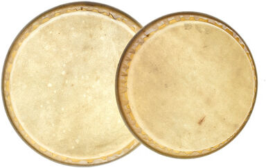Millenium Bongo Skins for MB202
