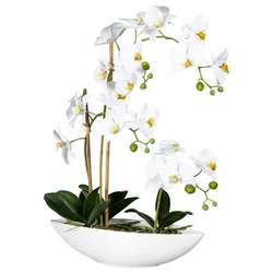 Kunstpflanze Orchideen Grün/Weiß