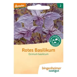 Basilikum Rotblättrig - Ocimum Basilicum