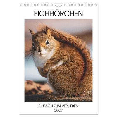 Eichhörnchen - Einfach zum Verlieben (Wandkalender 2027 DIN A4 hoch), CALVENDO Monatskalender