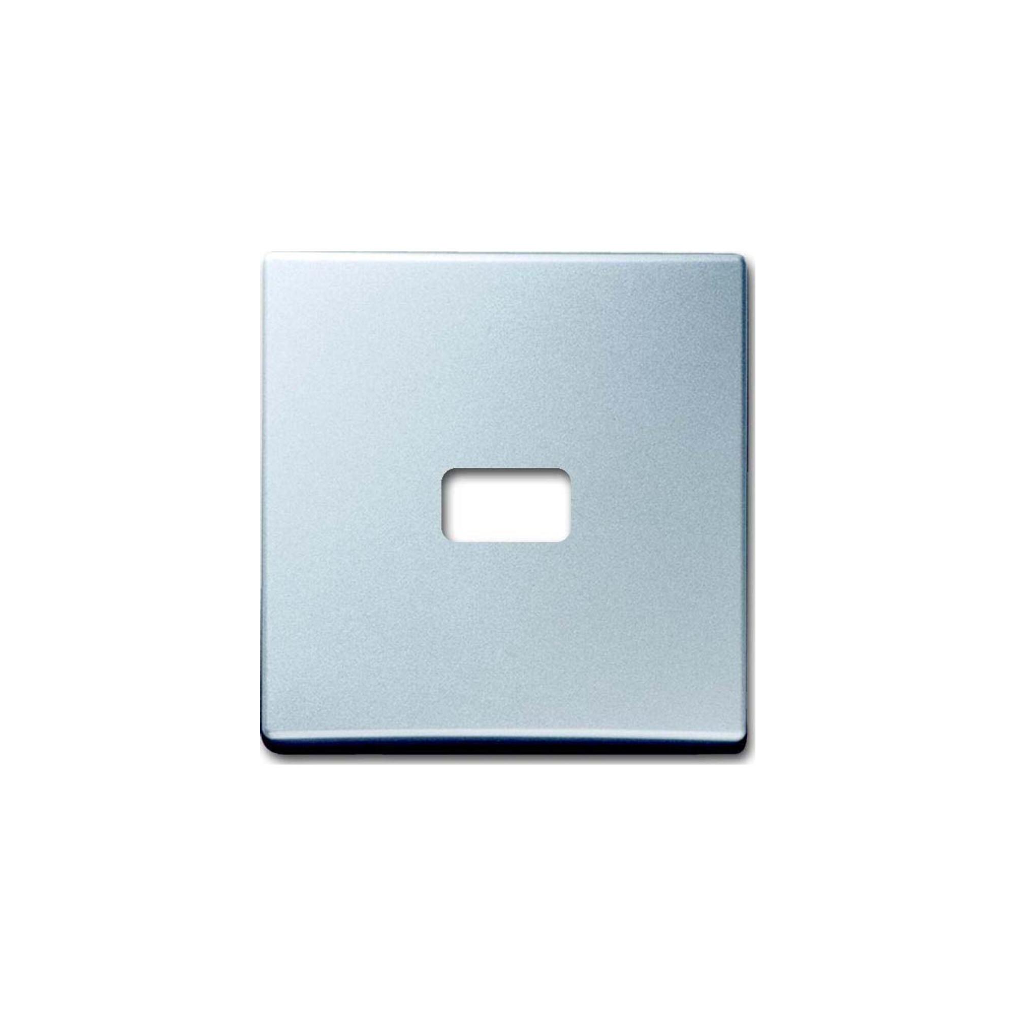 Busch-Jaeger Wippe alusilber offen für Symbol 2120-33 (2CKA001731A1969)