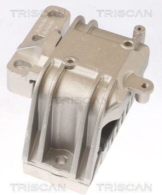 Triscan Lagerung, Motor 8505 29119 Für Vw