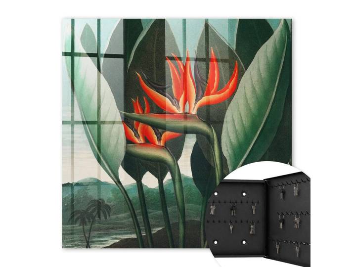 SCHLÜSSELBOX Schwarz 30x30 cm- Türöffnung nach rechts - Die Exotik der Natur