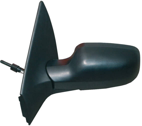 PRASCO RN4207114 Wing mirror