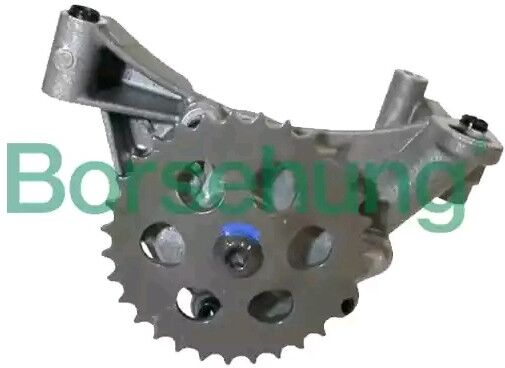 Borsehung B12689 Oil Pump