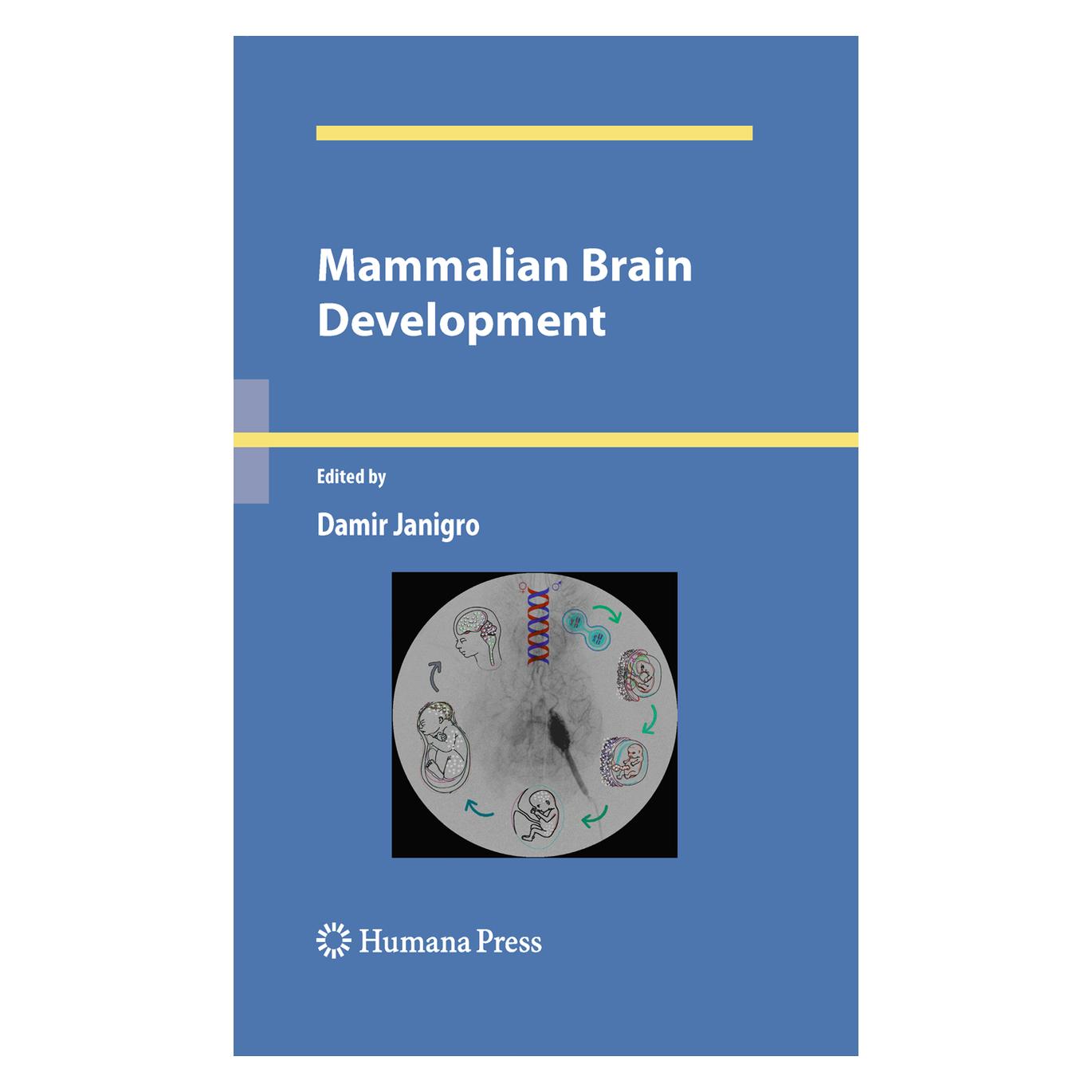 Springer Mammalian Brain Development (Englisch, Softcover, Damir Janigro) (55419759)