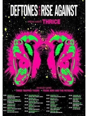 Inspired Finds Deftones Around The Fur Retro Album Canvas Poster For Music Room & Wall Decor 11.81x15.75in No Frame marble Wings