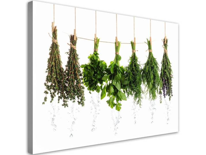 Feeby Leinwandbild Kräuter Gewürze Pflanzen 100x70cm, Grün, Essen/Getränk, Rechteckig, 100x70 cm, Bilder & Rahmen, Bilder, Leinwandbilder