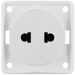 Berker 962572502 Steckdose ohne SK Euro-US Stand ITG pw