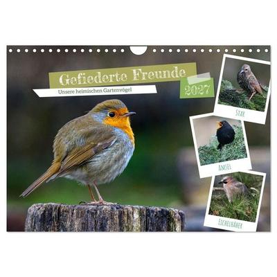 Gefiederte Freunde - Unsere heimischen Gartenvögel (Wandkalender 2027 DIN A4 quer), CALVENDO Monatskalender